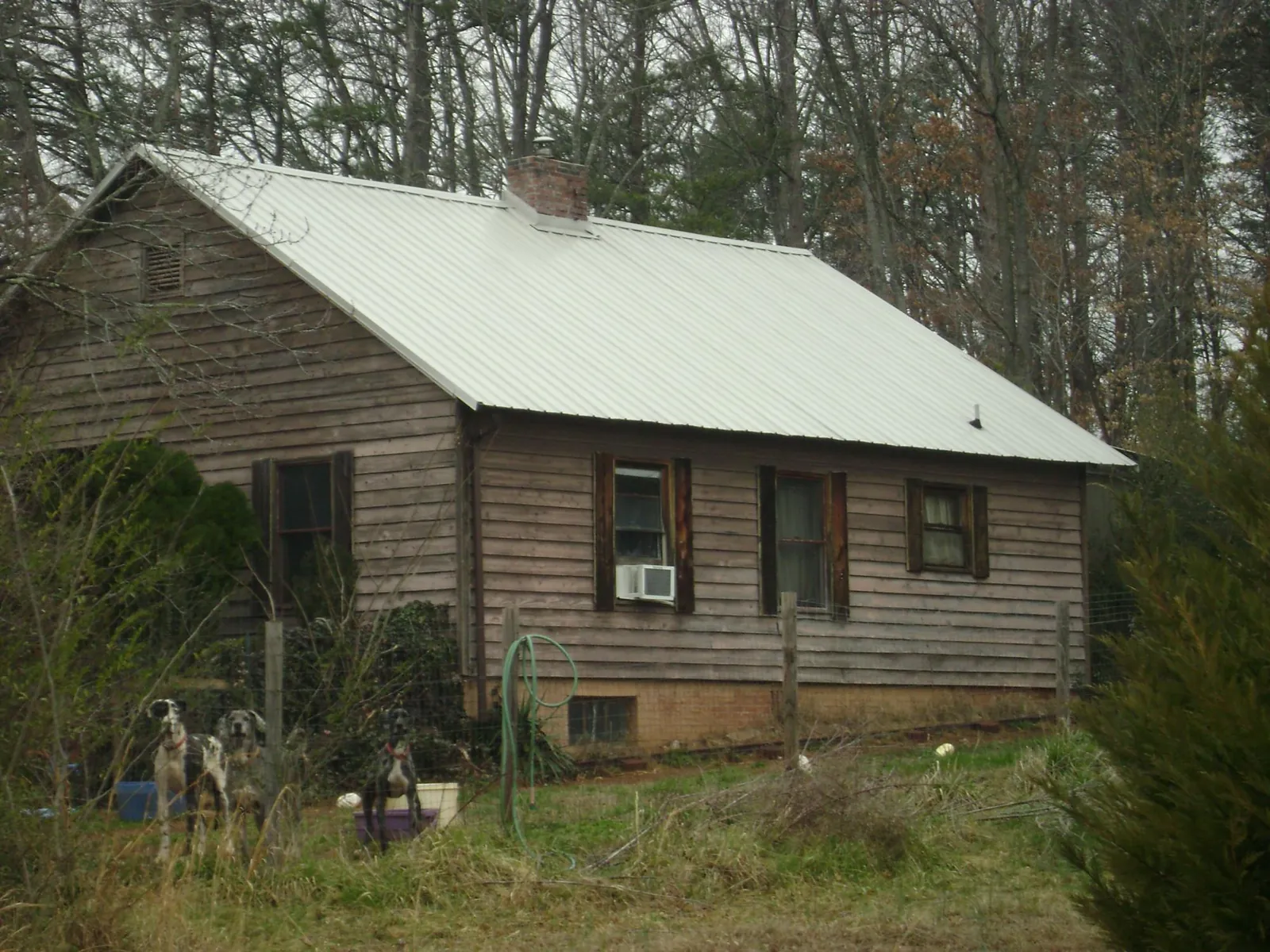 White metal roof on an old wood sided farmhouse, from a Asphalt Shingle Roof Repair job in Tennessee Ridge